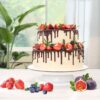 Cake Turntable Decorating Stand