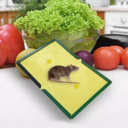 Reusable Expert Mouse &amp; Rat Glue Trap
