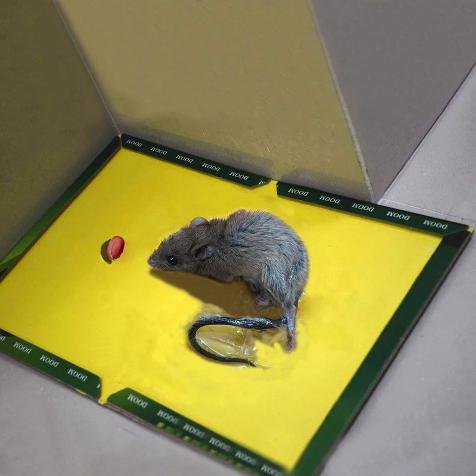 Reusable Expert Mouse &amp; Rat Glue Trap