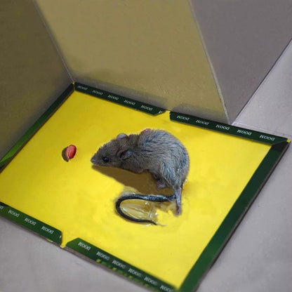 Reusable Expert Mouse &amp; Rat Glue Trap