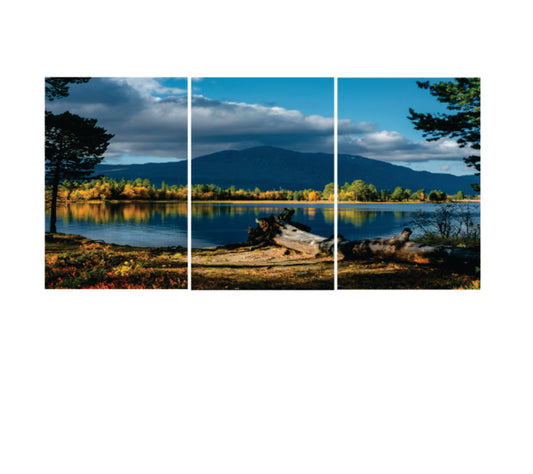 Set of 3 nature wall art phototile frame